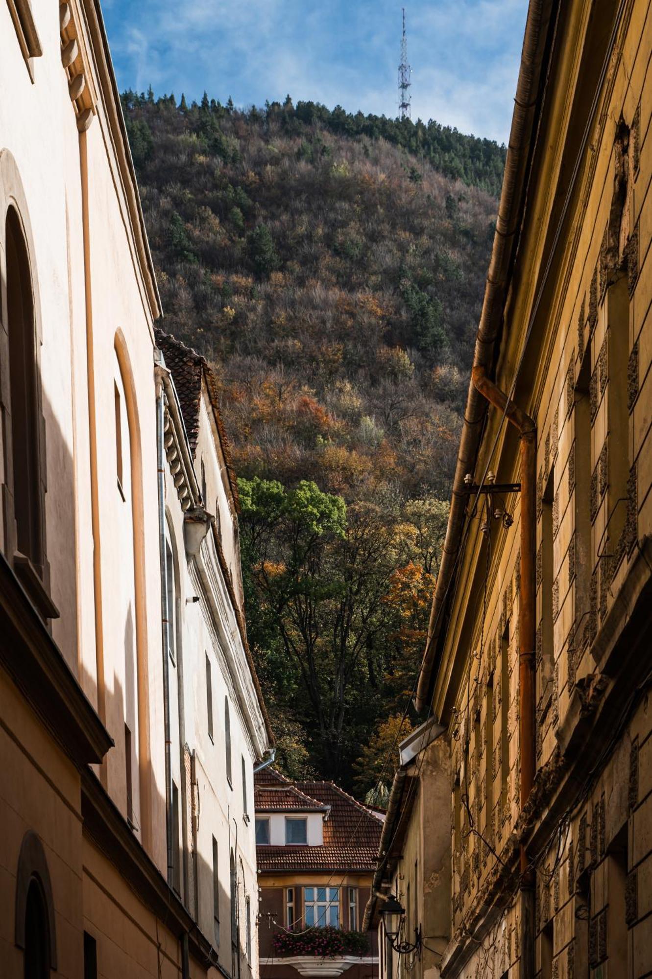 Lara'S Loft Apartment Brasov Exterior photo